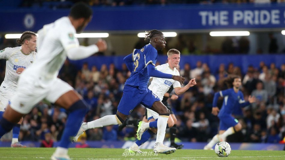 了新的期待 了新的期待