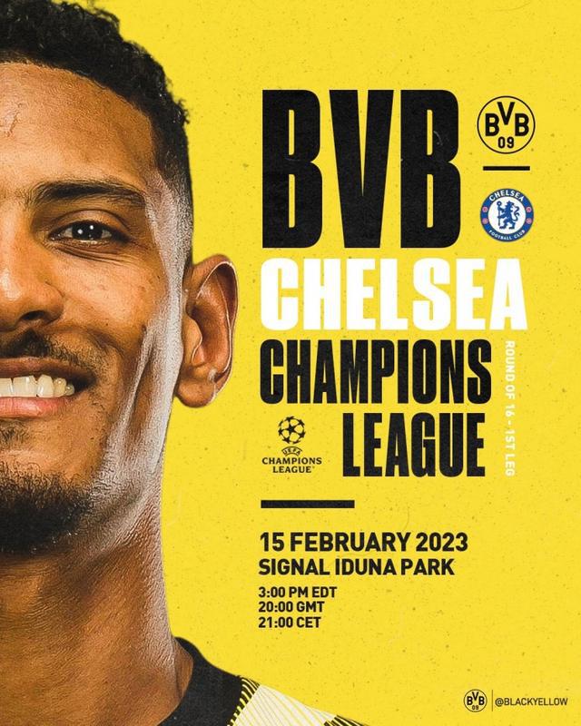 亲自到场观 亲自到场观